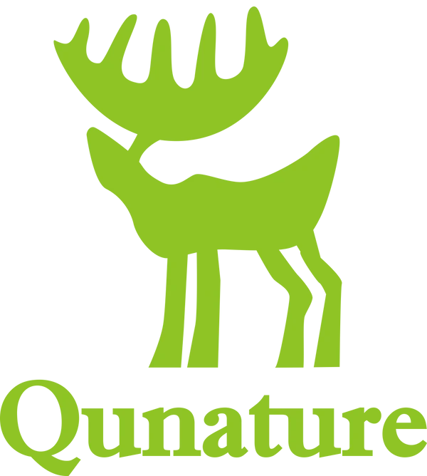 Qunature